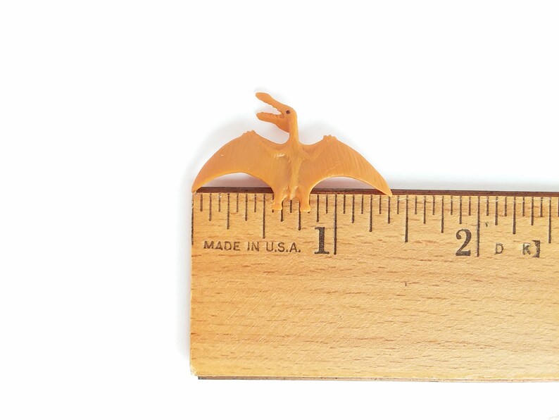 tiny pterosaur