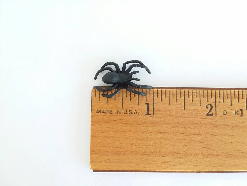 May include: A black plastic spider measuring approximately 1 inch in length. The spider is placed next to a wooden ruler with the text "MADE IN U.S.A."