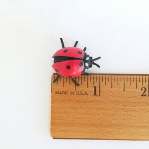 Pu&ograve; includere: Un giocattolo a forma di coccinella rosso e nero che misura circa 2,5 cm di lunghezza. La coccinella &egrave; seduta su un righello di legno con segni neri.