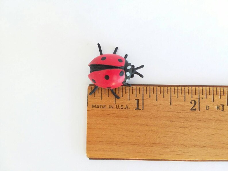 Pu&ograve; includere: Un giocattolo a forma di coccinella rosso e nero che misura circa 2,5 cm di lunghezza. La coccinella &egrave; seduta su un righello di legno con segni neri.