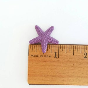 May include: A purple starfish measuring approximately 1 inch in length. The starfish is placed on a wooden ruler with markings for inches.