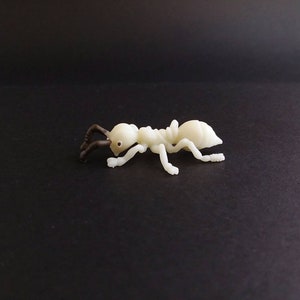 May include: A small, off-white plastic ant figurine with dark brown antennae and eyes. The ant is posed on a black surface, showcasing its segmented body and legs. This decorative item could be used for educational purposes or as a novelty.