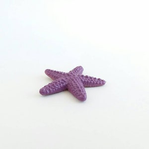 May include: A purple starfish with a textured surface.