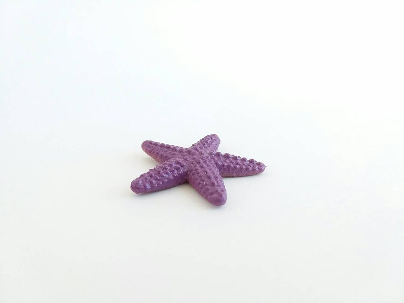 May include: A purple starfish with a textured surface.