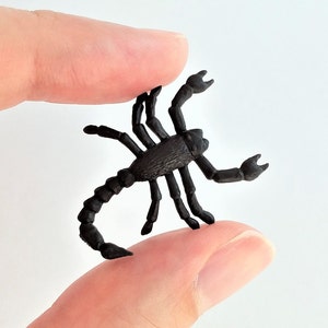 Può includere: Una statuetta di scorpione in plastica nera. Lo scorpione è in posa con la coda alzata e le chele estese.