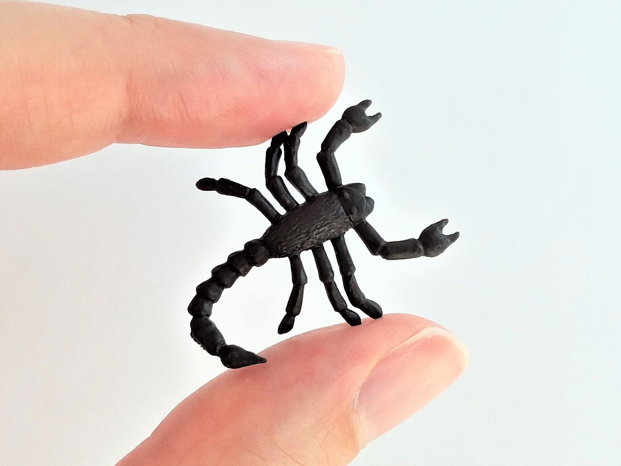 Tiny Scorpion Figurine-1 Soft Plastic Bug for Fairy Garden - Etsy Tiny Scorpion Figurine-1 Soft Plastic Bug for Fairy Garden - Etsy