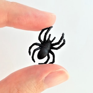 May include: A black plastic spider toy held between two fingers.