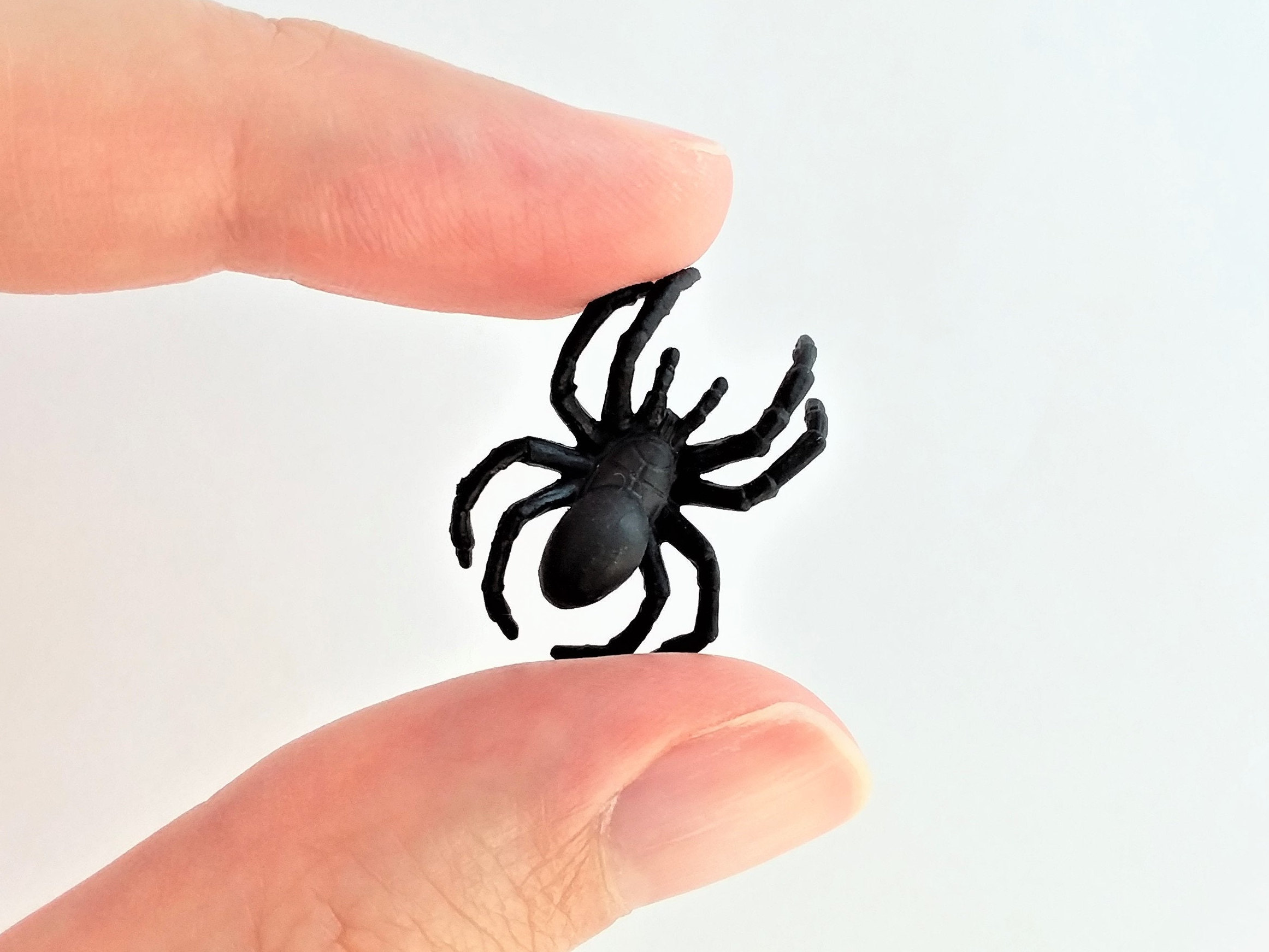 Figuras de arañas de acero sobre una red negra en exhibición | Foto Premium Figuras de arañas de acero sobre una red negra en exhibición | Foto Premium