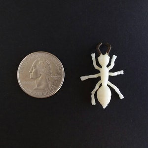 May include: A cream-colored plastic ant figurine with brown antennae, next to a U.S. quarter coin. The ant is approximately 1.5 inches long. The background is a solid black surface. The ant's legs and body are detailed.