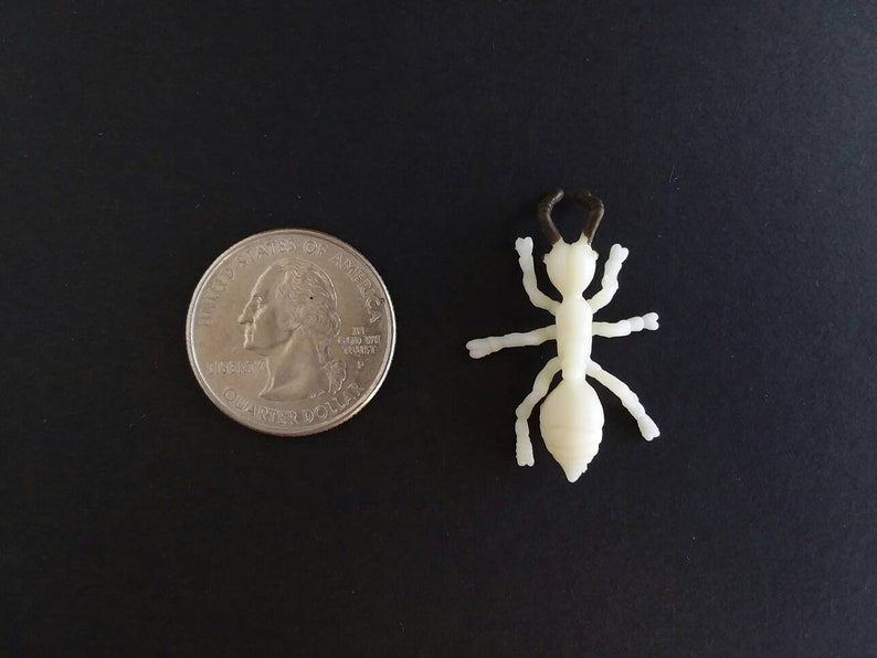 May include: A cream-colored plastic ant figurine with brown antennae, next to a U.S. quarter coin. The ant is approximately 1.5 inches long. The background is a solid black surface. The ant's legs and body are detailed.