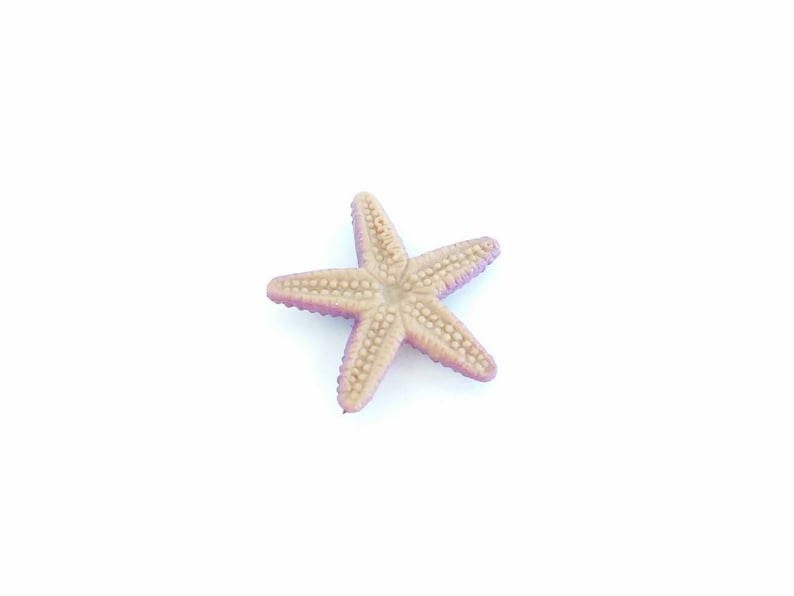 May include: A light purple and beige starfish with a textured surface.
