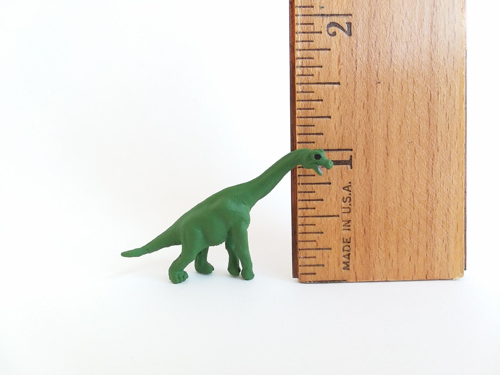 tiny brachiosaurus