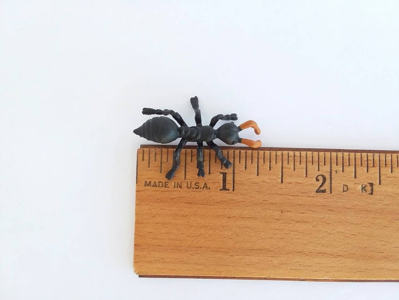 May include: A small, black plastic ant toy with orange pincers, positioned on a wooden ruler. The ant measures approximately 1 inch in length. The ruler is marked with inch increments and the text "MADE IN U.S."