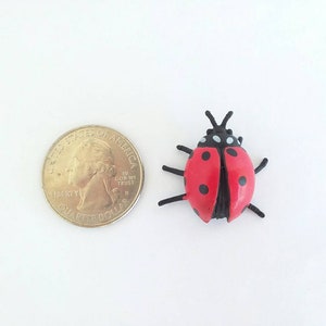 Pu&ograve; includere: Una coccinella rossa e nera con punti bianchi, accanto a una moneta da 25 centesimi di dollaro americano.