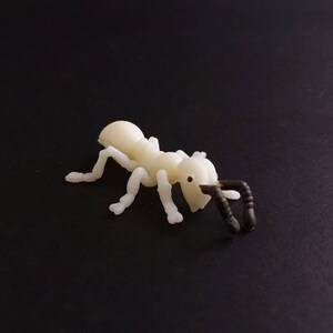 May include: A small, off-white plastic ant figurine with dark brown antennae and legs. The ant is positioned on a black surface, showcasing its detailed features and realistic design.