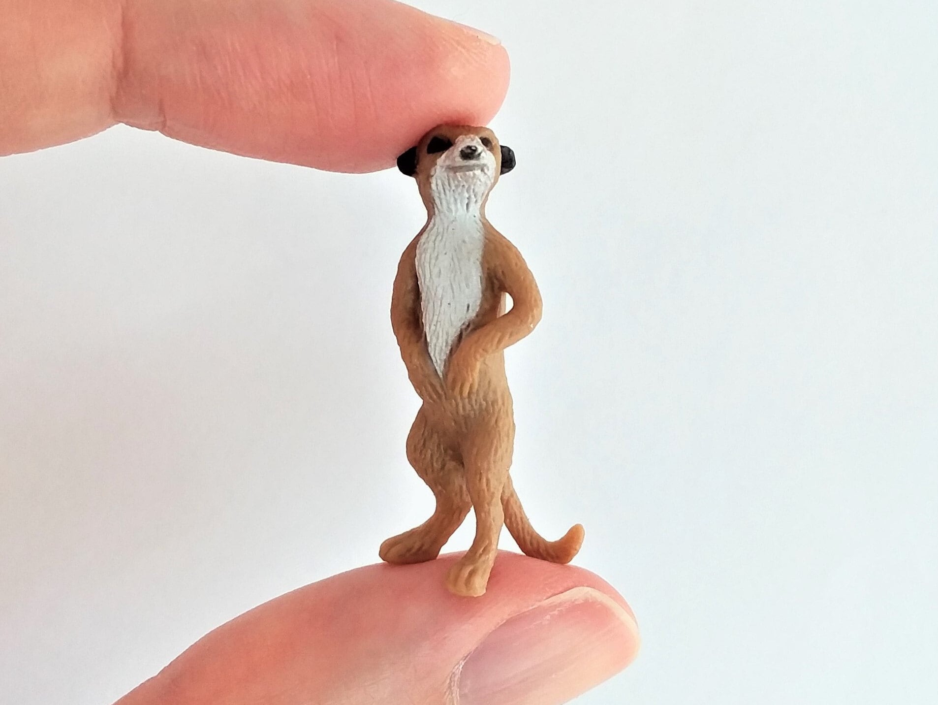 Meerkat Toy