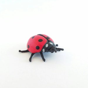 Pu&ograve; includere: Un giocattolo di coccinella rosso con macchie nere e gambe nere. La coccinella &egrave; fatta di plastica e ha una finitura lucida.