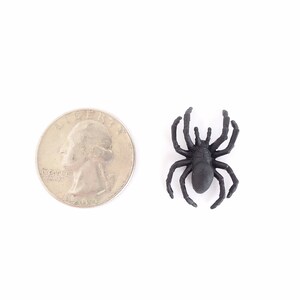 May include: A black plastic spider toy next to a US quarter for size comparison.