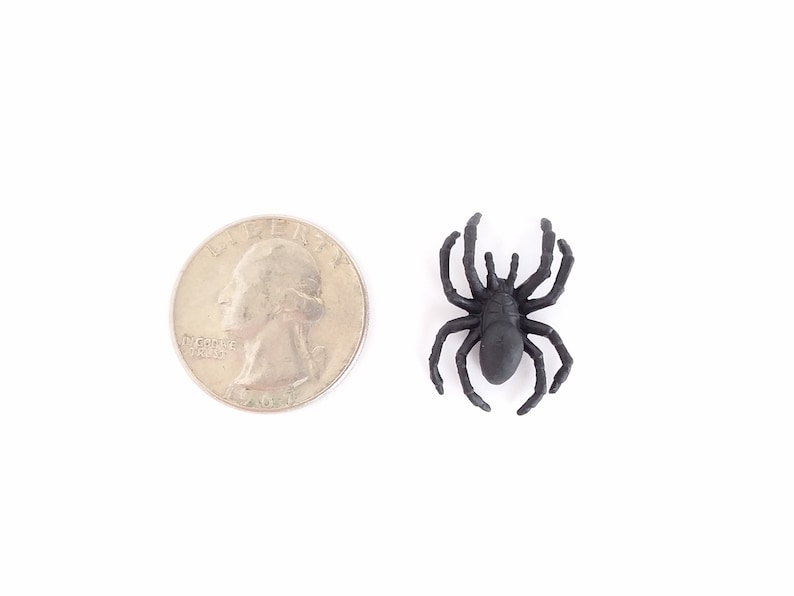 May include: A black plastic spider toy next to a US quarter for size comparison.
