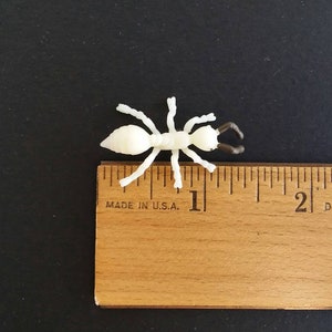 May include: A small, off-white plastic ant figurine with dark brown pincers, positioned next to a wooden ruler. The ruler, marked in inches, indicates the ant's size. The background is a solid black surface.