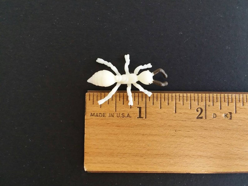 May include: A small, off-white plastic ant figurine with dark brown pincers, positioned next to a wooden ruler. The ruler, marked in inches, indicates the ant's size. The background is a solid black surface.