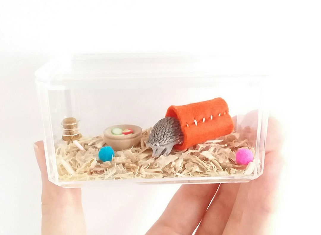 Miniature Hedgehog Habitat No Fuss Desk Pet for Kid or Adult