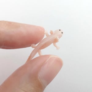 Tiny Axolotl Figurine - Soft Plastic Animal for Fairy Garden, Diorama, Terrarium, Aquarium, or Dollhouse - Realistic Miniature Amphibian