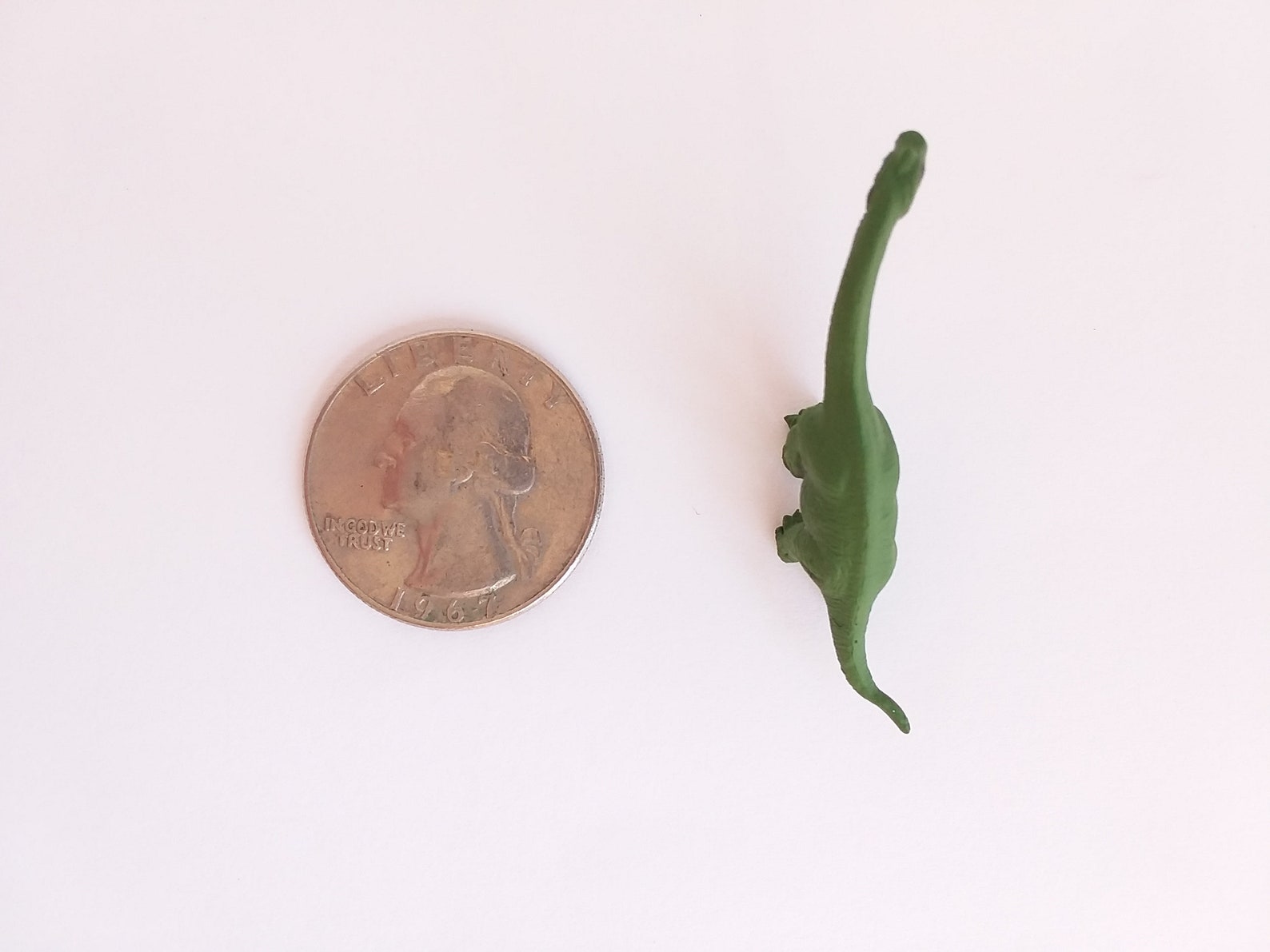 tiny brachiosaurus