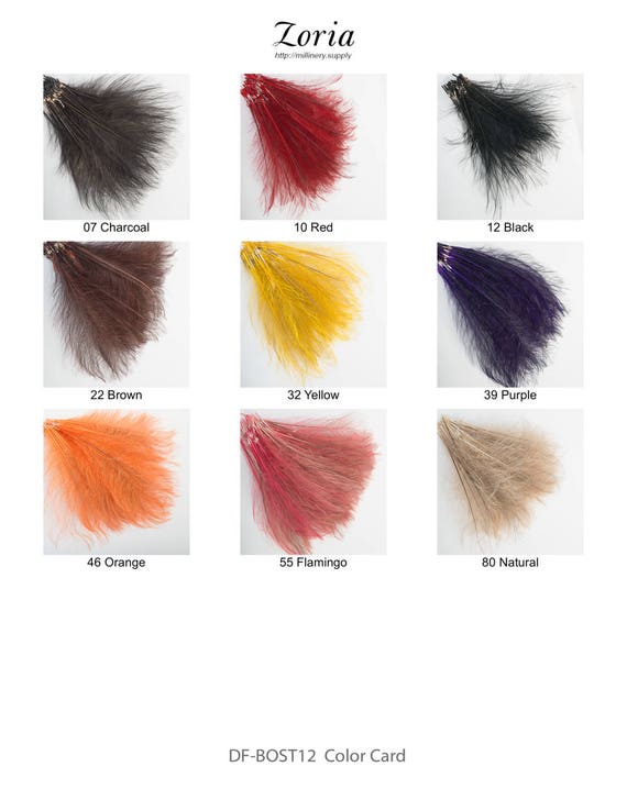 Brown 12-14'' Burnt Ostrich Feather Trims By Piece