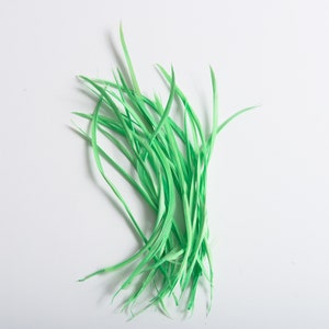 May include: A bunch of bright green feathers, arranged to look like a clump of grass.