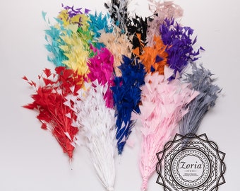 Turkey Feather 30cm | 801160