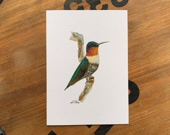 Ruby Throated Hummingbird - 5" x 7" Print