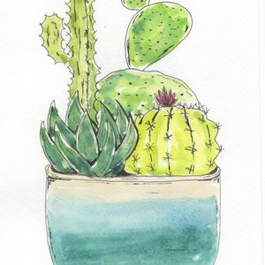 succulents