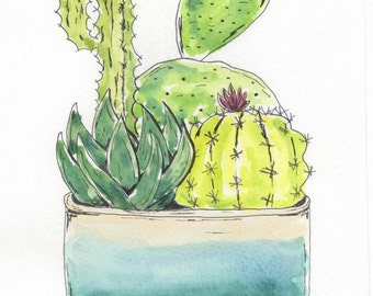 saguaro cactus for sale False Saguaro ,Pachycereus pringlei , Mexican Cardon