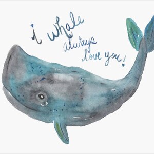 Willey the Whale