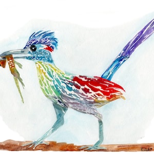 Texas Roadrunner