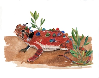 Texas Horned Toad