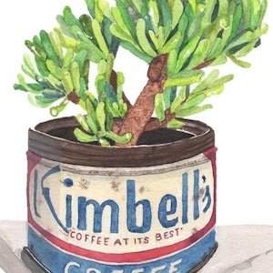 May include: A watercolor painting of a small green plant growing in a vintage coffee can. The can is labeled "Kimbell's Coffee at its Best" in blue and red lettering.