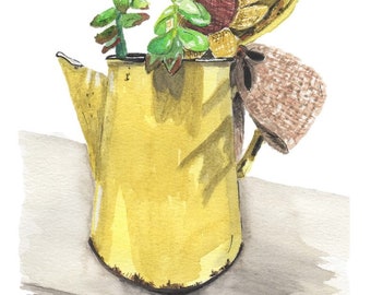 Pot à café vintage avec des succulentes