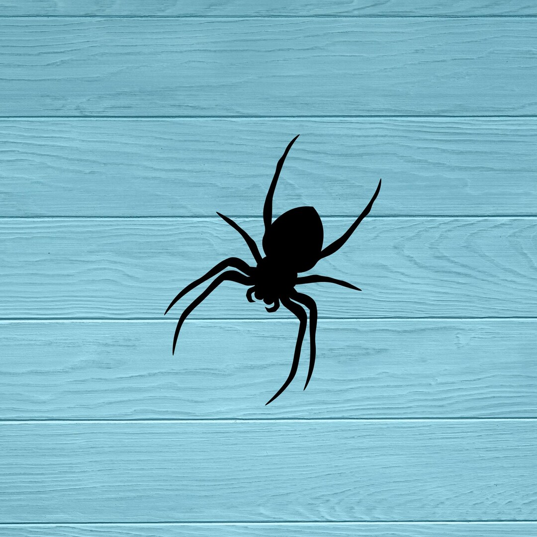 Sticker Spider Rectangular Spider Vinyl Decal Sticker | Window Door Car Laptop Water Bottle ...
