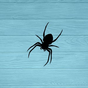 Spider Vinyl Decal: Car, Window, Laptop, Wall Decor