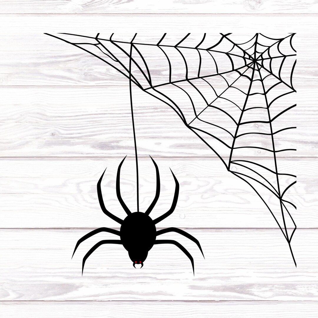Spider Web Decal/spider Web Sticker/car Decals/vinyl Decal/halloween
