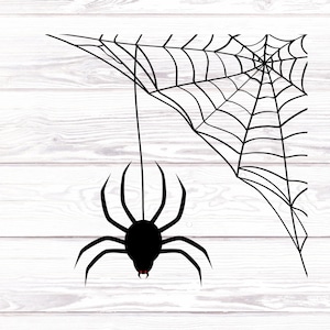 Spider Web Decal/Spider Web Sticker/Car Decals/Vinyl Decal/Halloween Decal/Halloween Wall Decal/Black Widow Decal/Jeep Decals/Laptop/Window