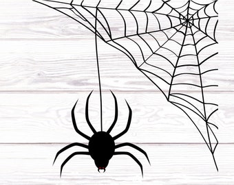Spider Web Vinyl Decal | Car Window Laptop Porch | Halloween | Cobweb | Arachnid Sticker | Creepy Decal