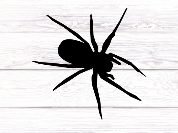 Black widow car decal deals