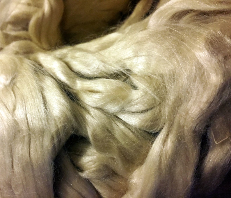 May include: A close-up of a bundle of raw, unspun, cream-colored silk fibers.