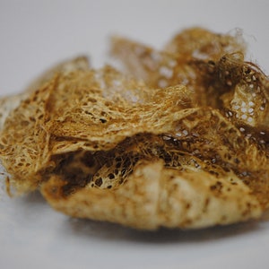 Könnte beinhalten: Nahaufnahme eines zarten, braunen, spitzensartigen Materials mit einem strukturierten, gewebten Muster. Das Material ist zerknittert und scheint aus Naturfasern zu bestehen.