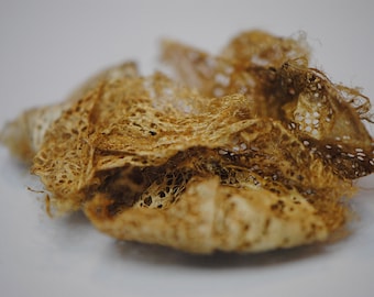 Golden Silk Cocoons | Raw Silk Cocoons | Gold Silk | Indonesian Silks | Nuno Felting | Craft Education | Wild Silk | Golden Lace Cocoons