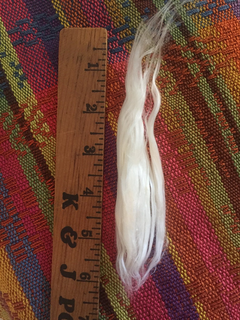 Pode incluir: Um close-up de uma amostra de fibra de algod&atilde;o branca medida contra uma r&eacute;gua de madeira marcada com polegadas. A r&eacute;gua &eacute; etiquetada como "PC J & K" e tem marcas at&eacute; 7 polegadas.