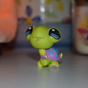 ooak lps eye repaint - hand painted turtle